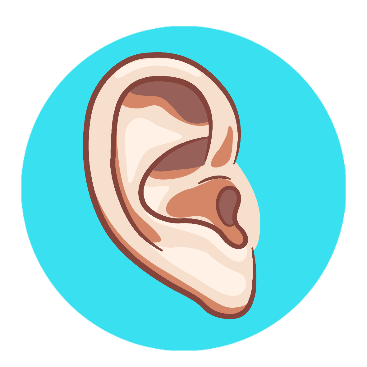 page 35 ear