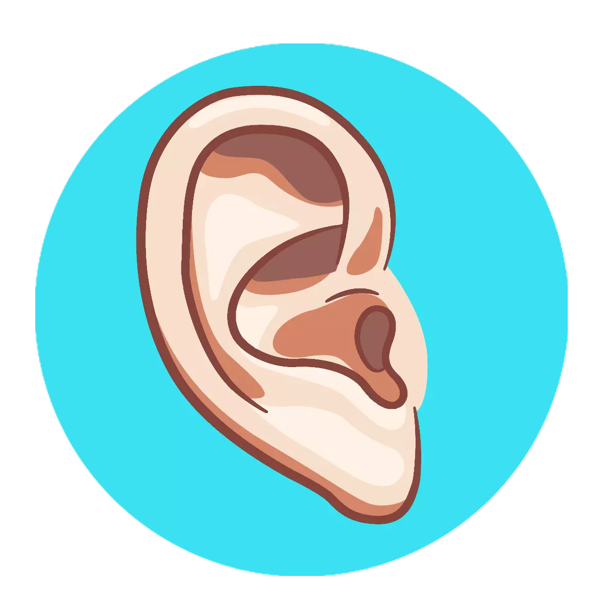 page 35 ear